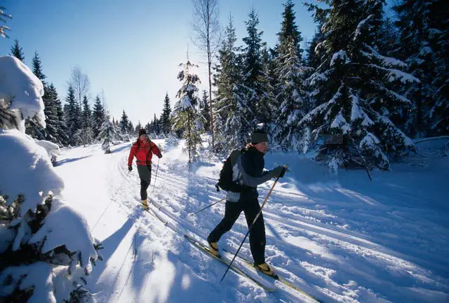 CROSS-COUNTRY SKIING