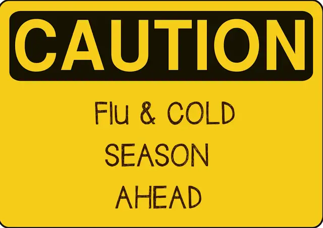 flu season ahead