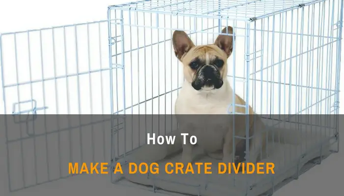 How To Make A Dog Crate Divider