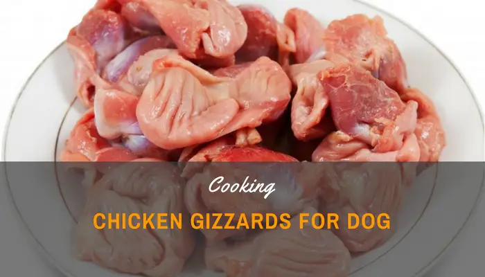 Can Dogs Eat Chicken Liver And Gizzards