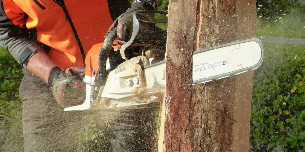 Best Arborist Chainsaw