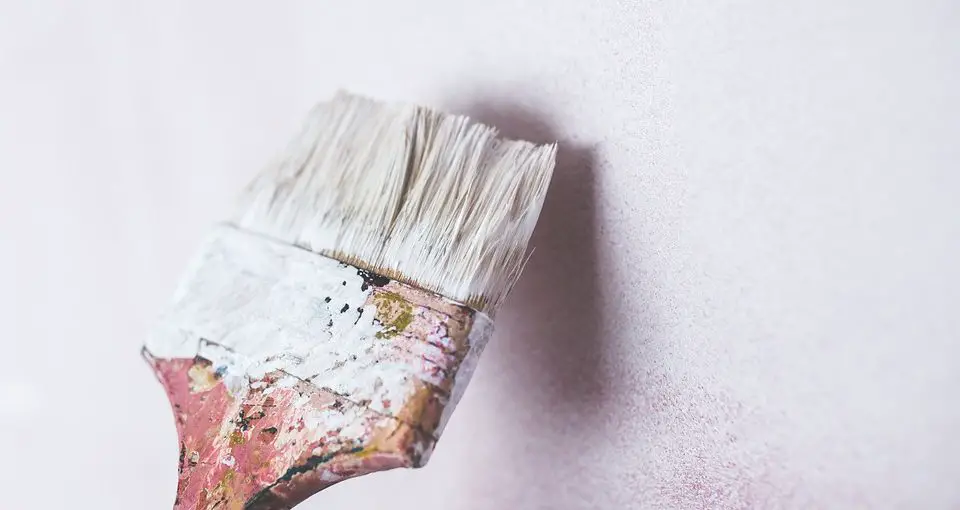 Want to Paint Your House Keep These Expert Tips in Mind