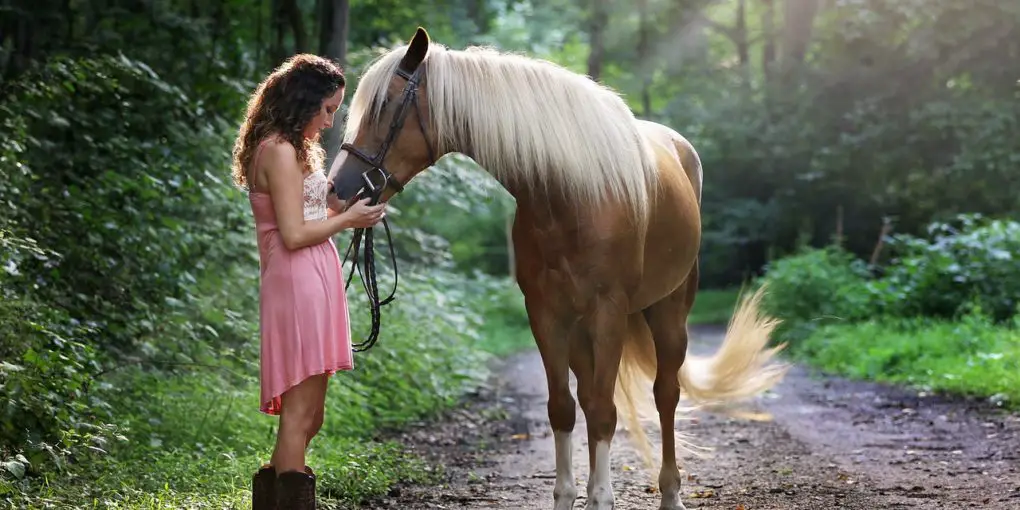 8 Ways To Easily Reduce Your Horse’s Stress