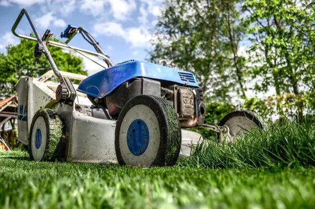 How to Choose the Right Mower for Your Lawn