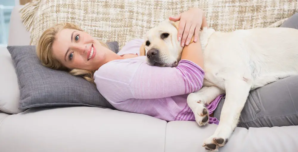 5 Most Common Dog Injuries That Will Require A Brace