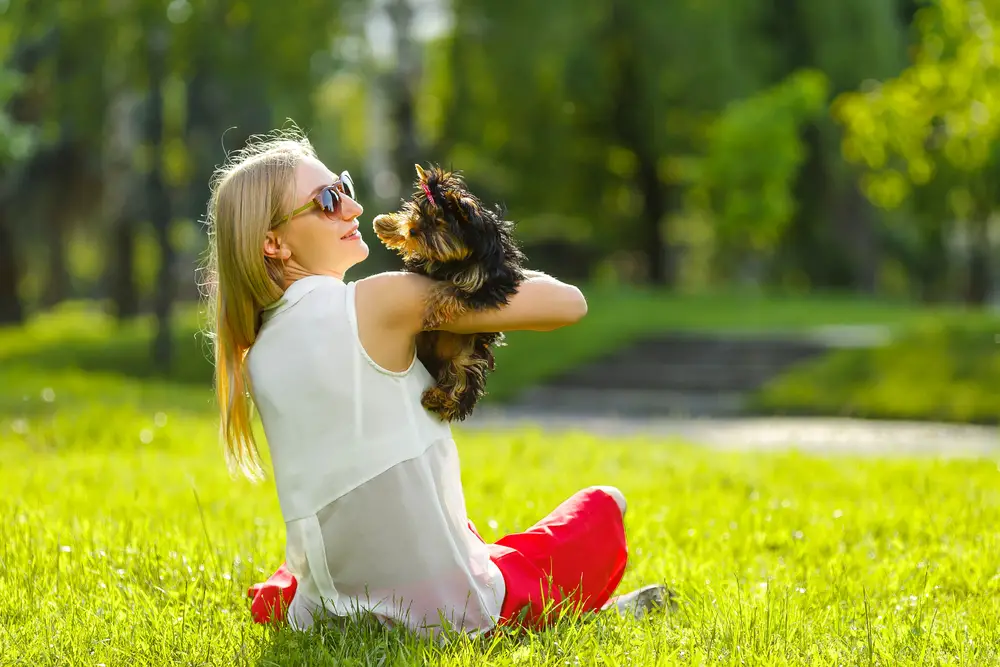 Why Does Your Dog Stare at the Wall