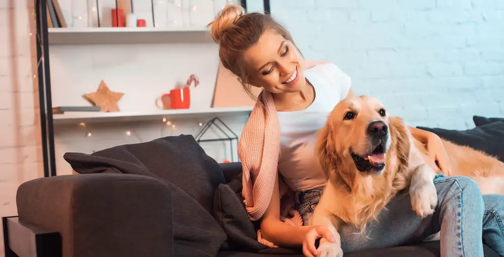 8 Smoky Mountain Vacation Tips When Traveling with Your Pet