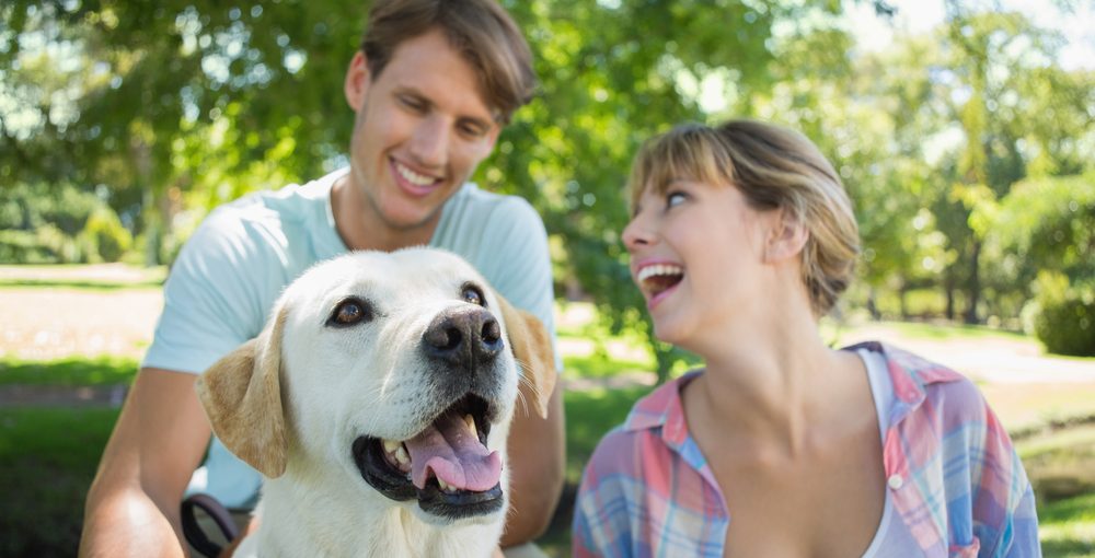 Pet Care Tasks You Can Do at Home