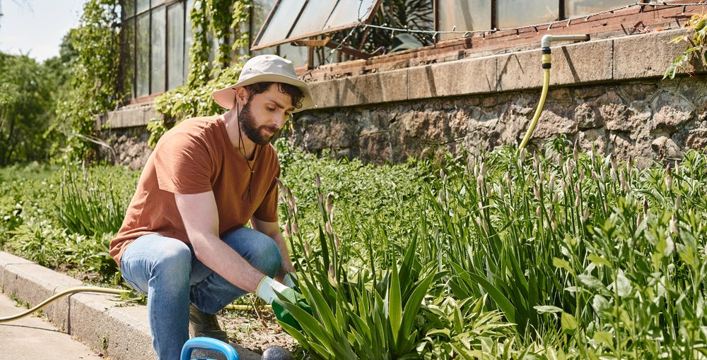Garden Maintenance Checklist: How to Maintain a Beautiful Yard All Year